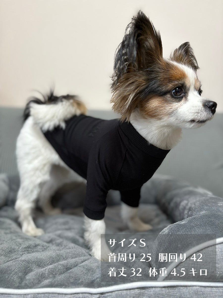 テンセル™繊維混【やさしさフィット】ウォッシャブルベア天竺_ラグランTシャツ 日本製 ※シーズン通年