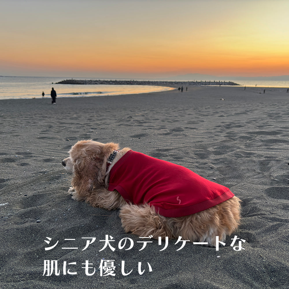 プレミアウォーム®【吸湿発熱作用】超ストレッチ 静電気防止 日本製 ※シーズン11月〜3月
