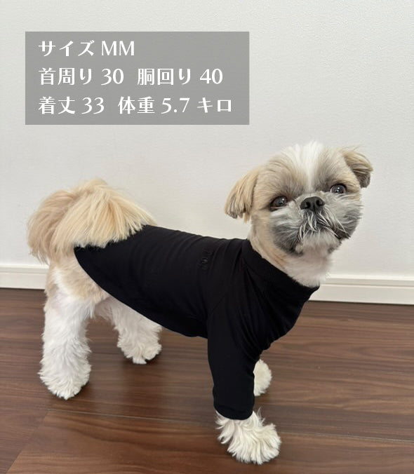 テンセル™繊維混【やさしさフィット】ウォッシャブルベア天竺_ラグランTシャツ 日本製 ※シーズン通年
