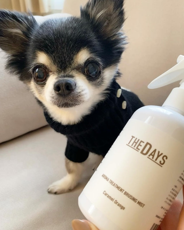 【S3】THE DAYS アロマトリートメントブラッシングミストー/キャラメルオレンジ