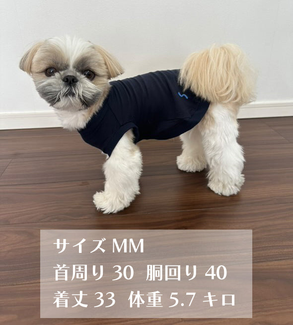 テンセル™繊維混【クールベア天竺】超ストレッチノースリーブ ●接触冷感 日本製 ※シーズン5月〜9月