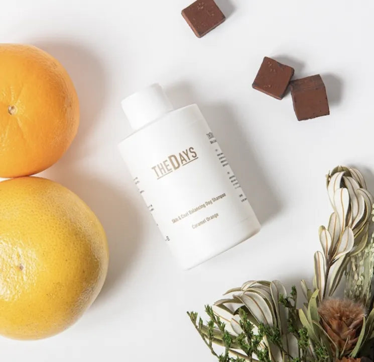 【S5】THE DAYS スキン&コートドッグ シャンプー (キャラメルオレンジ)