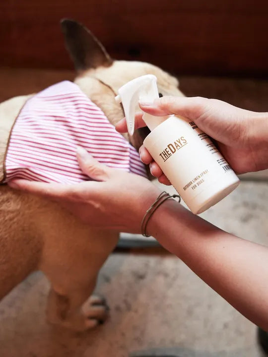 【S4】THE DAYS アウトドアリネンスプレーフォードッグ