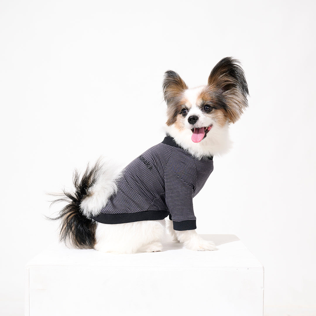 テンセル™繊維混【やさしさフィット】ウォッシャブルベア天竺ボーダー_ラグランTシャツ 日本製 ※シーズン通年