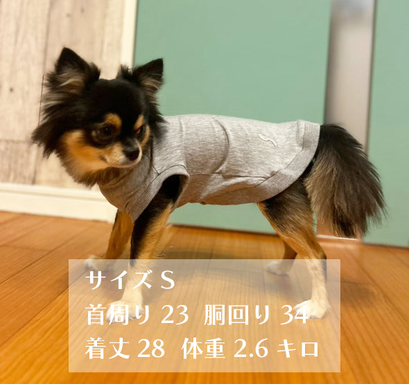 テンセル™繊維混【クールベア天竺】超ストレッチノースリーブ ●接触冷感 日本製 ※シーズン5月〜9月