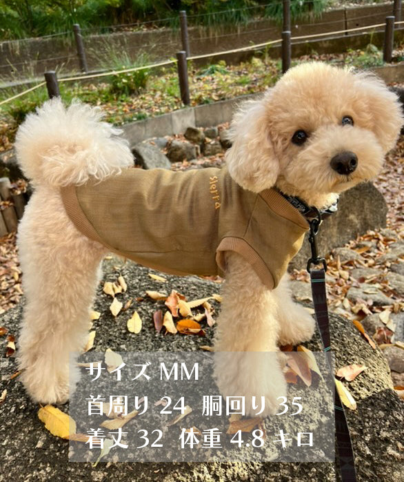 テンセル™繊維混【クールベア天竺】超ストレッチノースリーブ ●接触冷感 日本製 ※シーズン5月〜9月