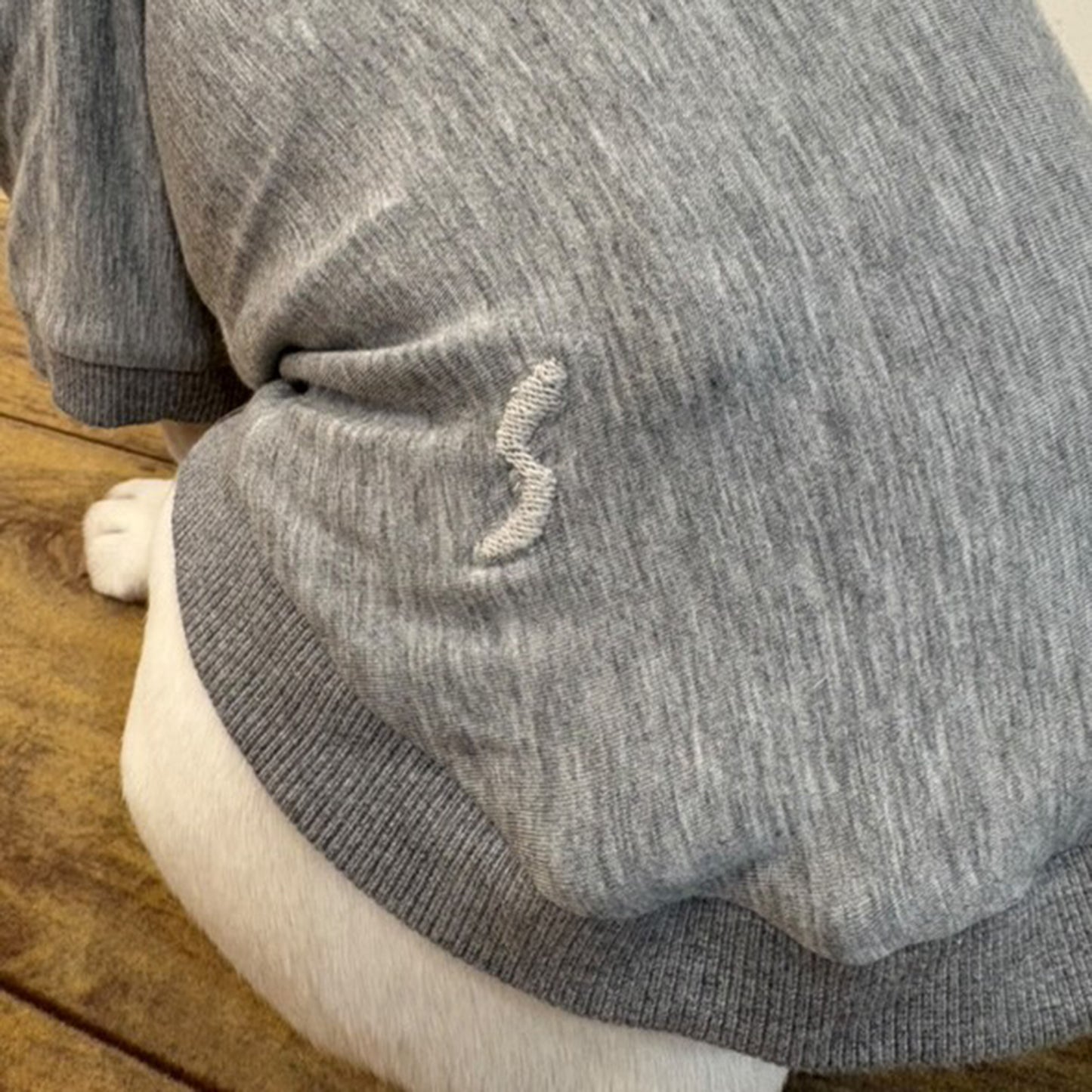テンセル™繊維混【やさしさフィット_フレブル】ウォッシャブルベア天竺_ラグランTシャツ 日本製 ※シーズン通年
