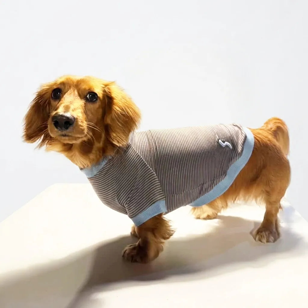 テンセル™繊維混【やさしさフィット_ダックス】ウォッシャブルベア天竺_ラグランT 　日本製　※シーズン通年