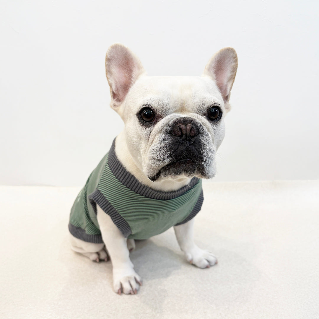 ラグジュアリーウォーム_ノースリーブ【吸湿発熱作用_フレブル】超ストレッチ　静電気防止　日本製　※シーズン11月〜3月