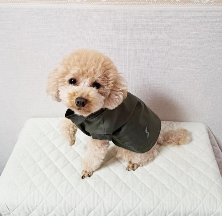 テンセル™繊維混【ツイルストレッチ】ノースリーブ　日本製　※シーズン通年