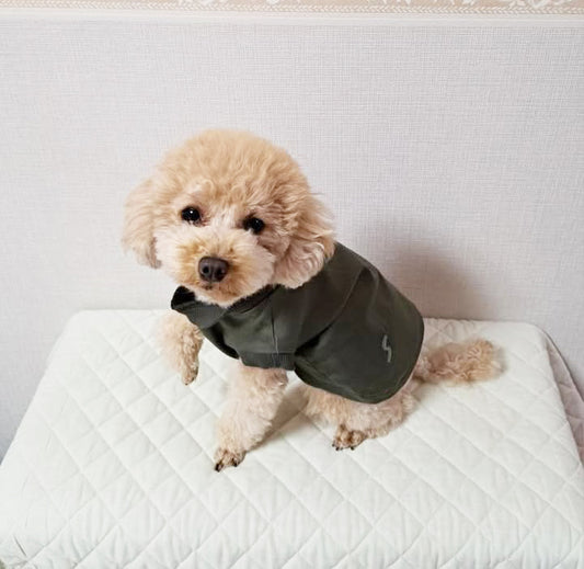 テンセル™繊維混【ツイルストレッチ】ノースリーブ　日本製　※シーズン通年