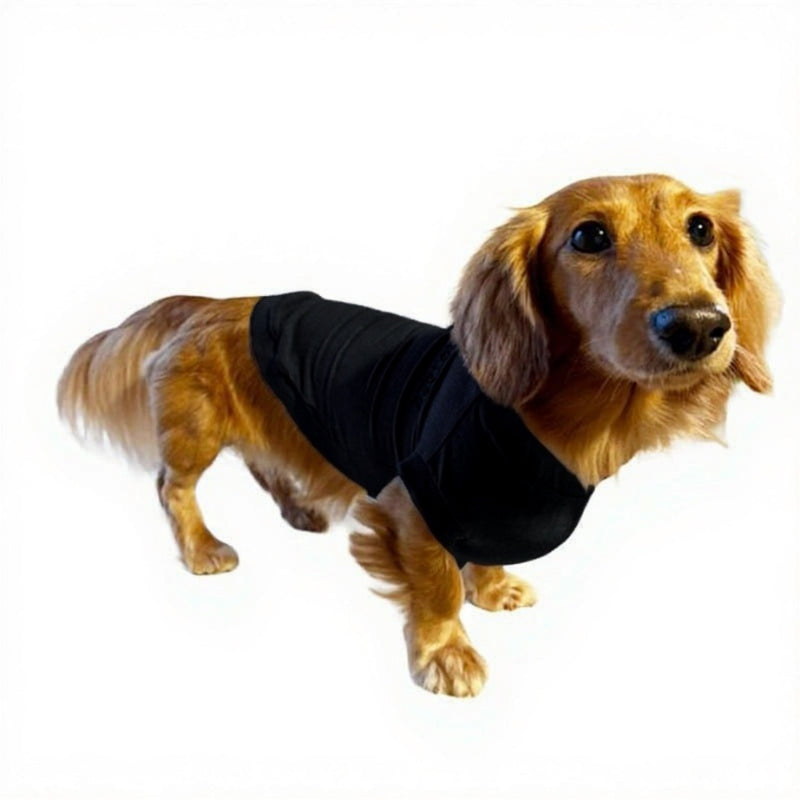 犬 ペット 洋服 asknowasdewan テディベア ポンチョ SDサイズ