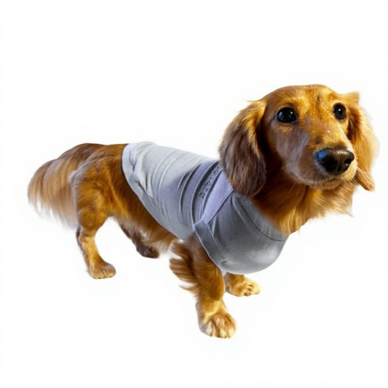 テンセル™繊維混【やさしさフィット_ダックス】ウォッシャブルベア天竺_ノースリーブ 　日本製　※シーズン通年