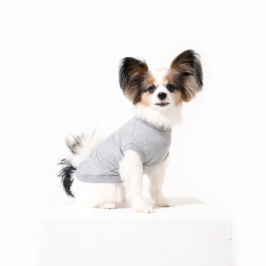 テンセル™繊維混【やさしさフィット】ウォッシャブルベア天竺_ノースリーブ 　日本製　※シーズン通年