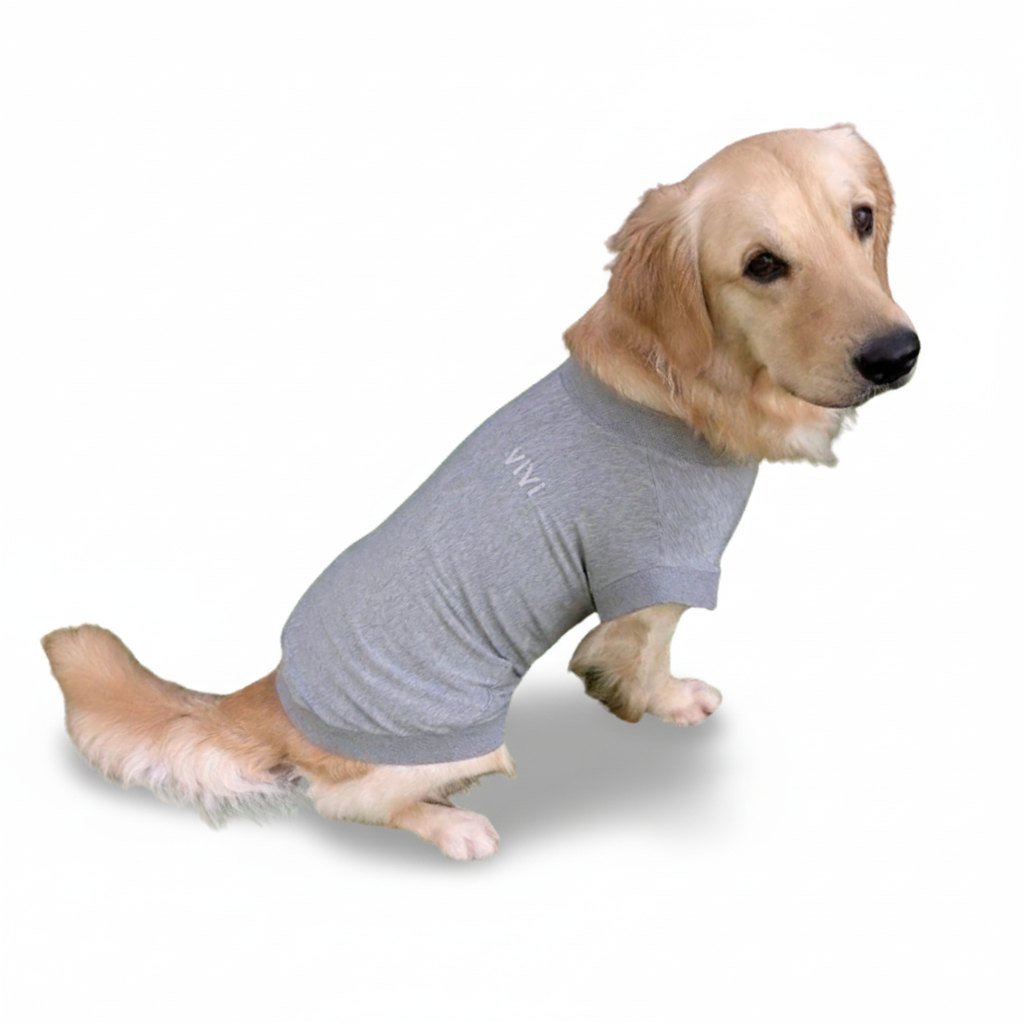 テンセル™繊維混【やさしさフィット大型犬】ウォッシャブルベア天竺_ノースリーブ 　日本製　※シーズン通年