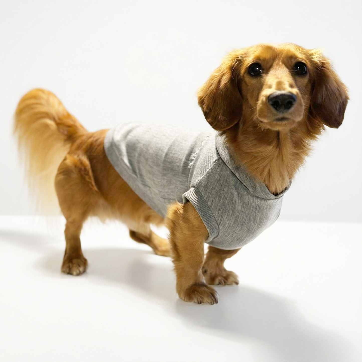 テンセル™繊維混【ストレッチパーカー_ダックス】　日本製　※シーズン11月〜3月