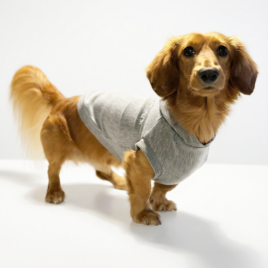 テンセル™繊維混【ストレッチパーカー_ダックス】　日本製　※シーズン11月〜3月