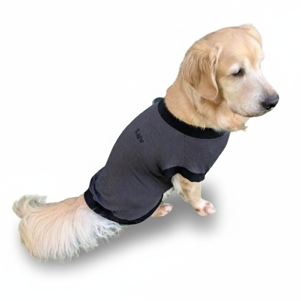 テンセル™繊維混【やさしさフィット大型犬】ウォッシャブルベア天竺_ノースリーブ 　日本製　※シーズン通年