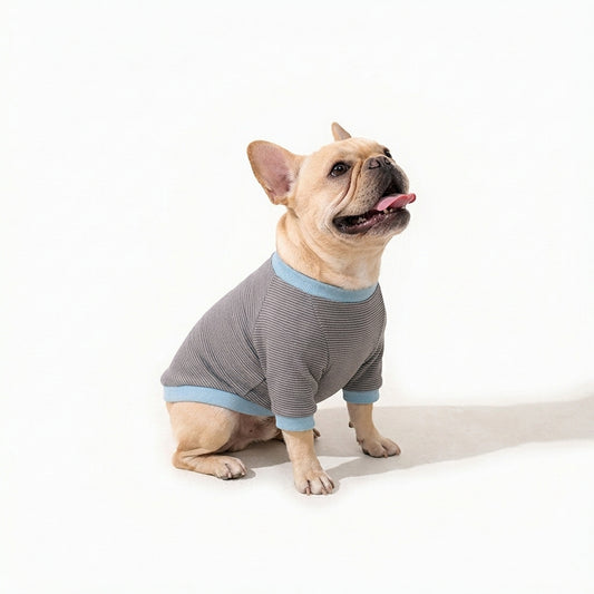 テンセル™繊維混【やさしさフィット_フレブル】ウォッシャブルベア天竺_ラグランTシャツ 日本製　※シーズン通年