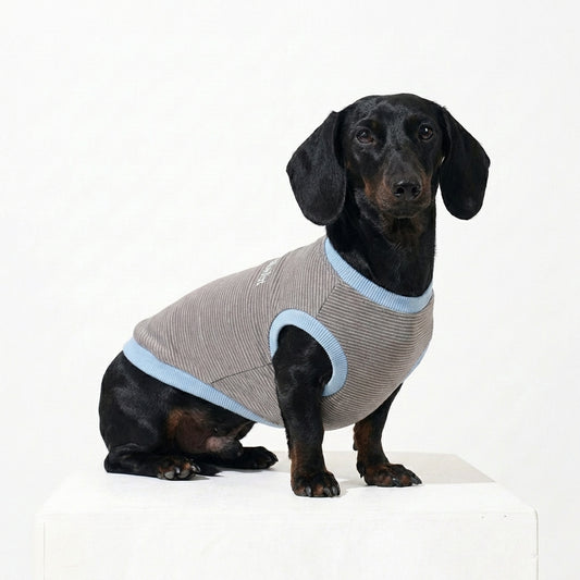 テンセル™繊維混【やさしさフィット_ダックス】ウォッシャブルベア天竺_ノースリーブ 　日本製　※シーズン通年