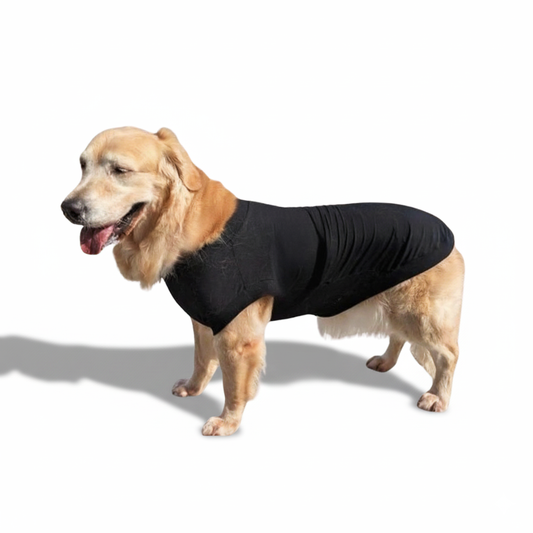 テンセル™繊維混【やさしさフィット大型犬】ウォッシャブルベア天竺_ノースリーブ 　日本製　※シーズン通年