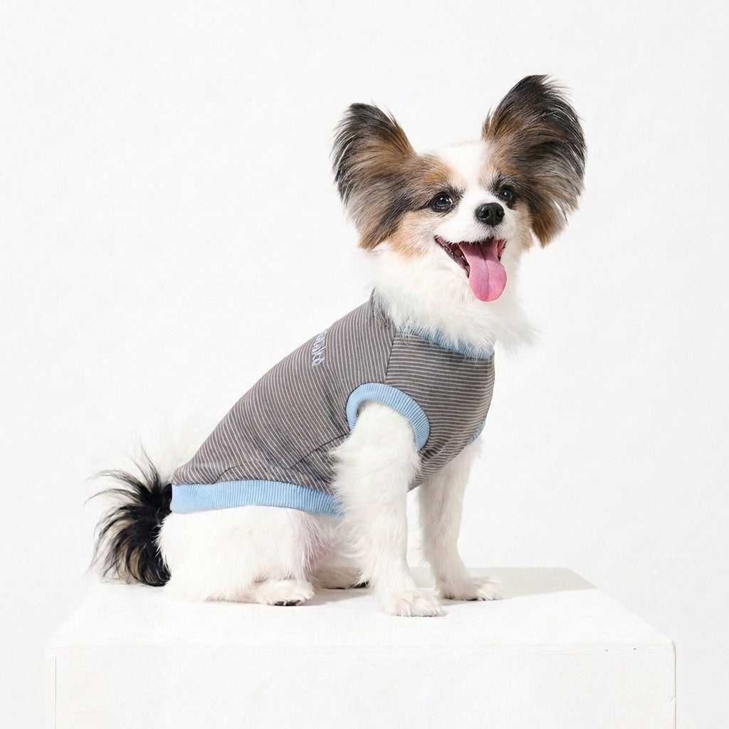 テンセル™繊維混【やさしさフィット】ウォッシャブルベア天竺_ノースリーブ 　日本製　※シーズン通年