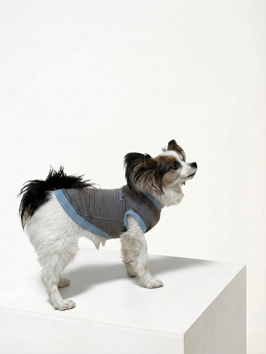 テンセル™繊維混【やさしさフィット】ウォッシャブルベア天竺_ノースリーブ 　日本製　※シーズン通年