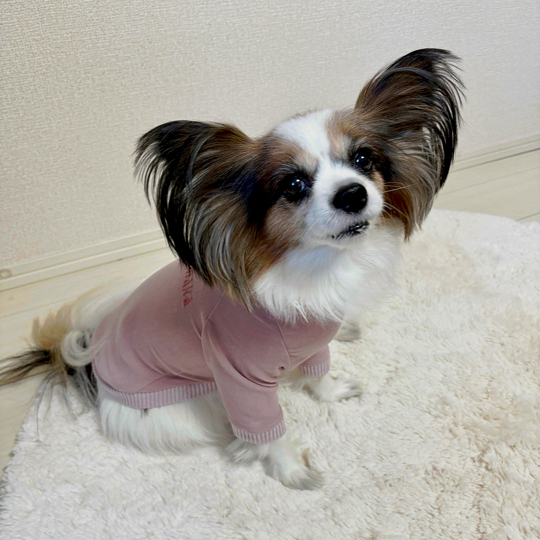 ラグジュアリーウォーム_ラグランT【吸湿発熱作用】超ストレッチ　静電気防止　日本製　※シーズン11月〜3月