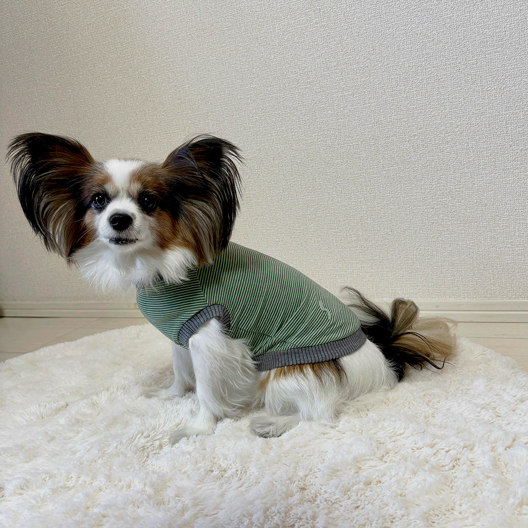 ラグジュアリーウォーム_ノースリーブ【吸湿発熱作用】超ストレッチ　静電気防止　日本製　※シーズン11月〜3月