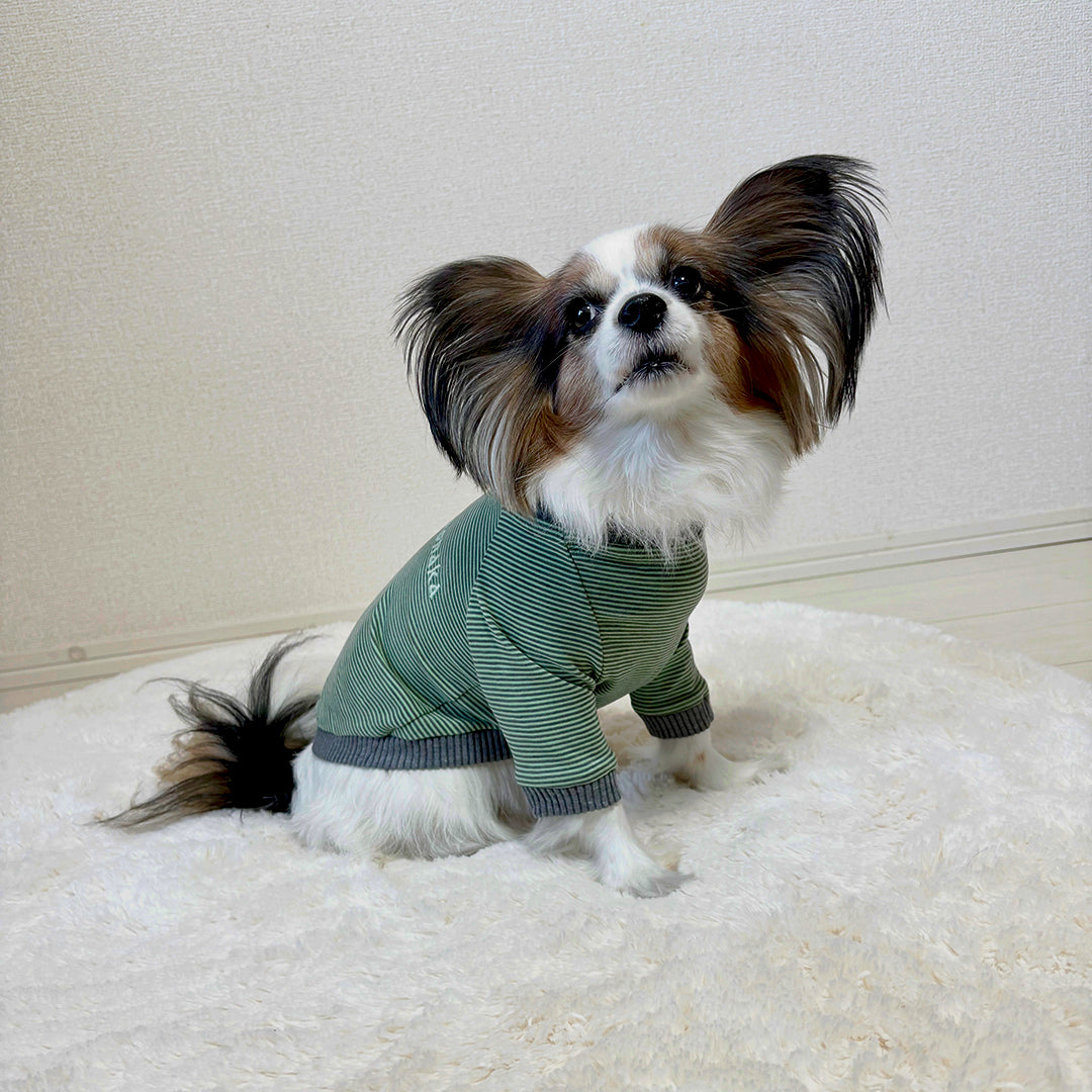 ラグジュアリーウォーム_ラグランT【吸湿発熱作用】超ストレッチ　静電気防止　日本製　※シーズン11月〜3月