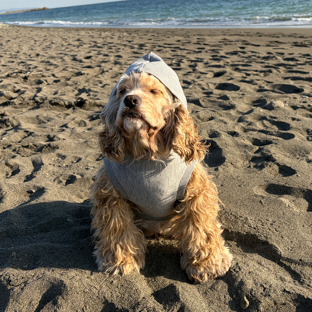 テンセル™繊維混【ストレッチパーカー】　日本製　※シーズン11月〜3月