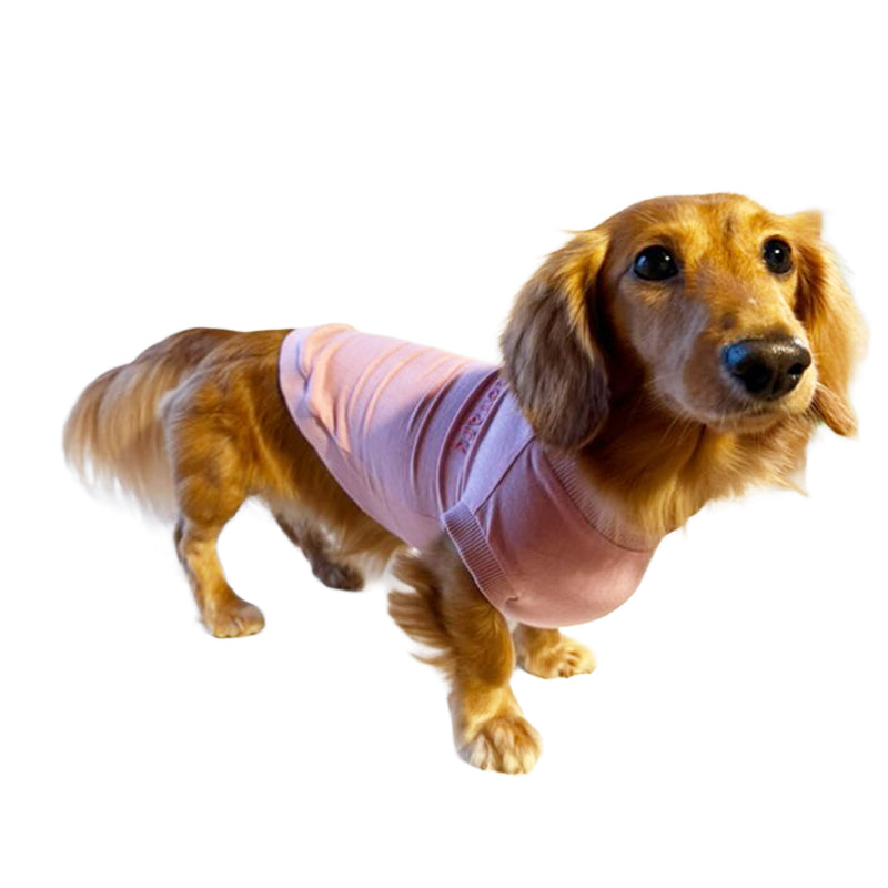 テンセル™繊維混【やさしさフィット_ダックス】ウォッシャブルベア天竺_ノースリーブ 　日本製　※シーズン通年