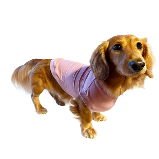 テンセル™繊維混【やさしさフィット_ダックス】ウォッシャブルベア天竺_ノースリーブ 　日本製　※シーズン通年