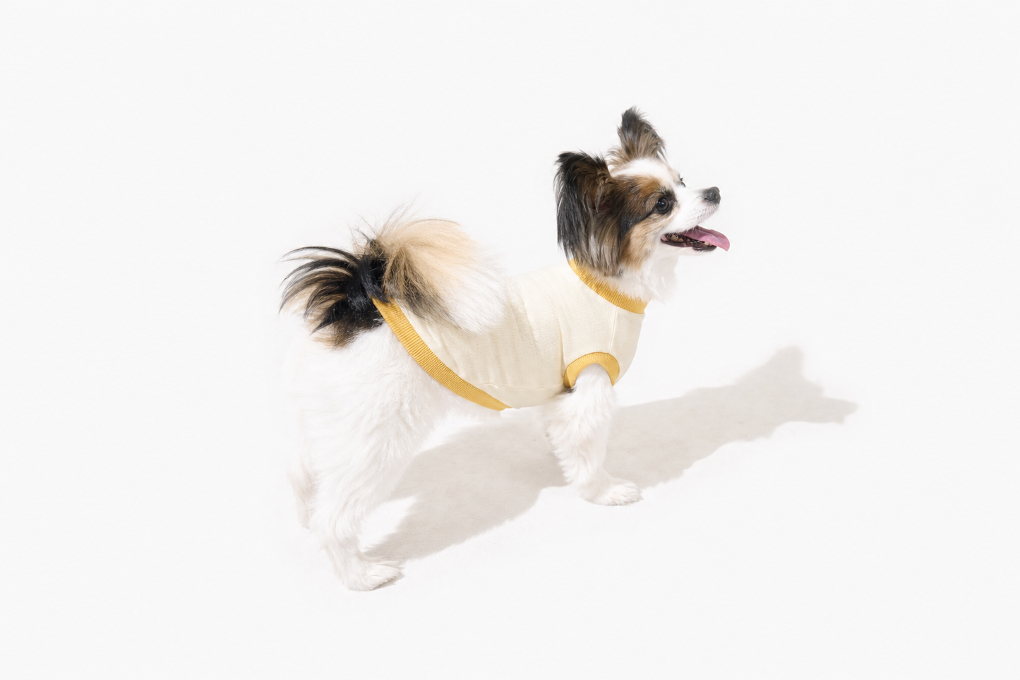 テンセル™繊維混【クールベア天竺大型犬】超ストレッチノースリーブ　 ●接触冷感　日本製　※シーズン5月〜9月