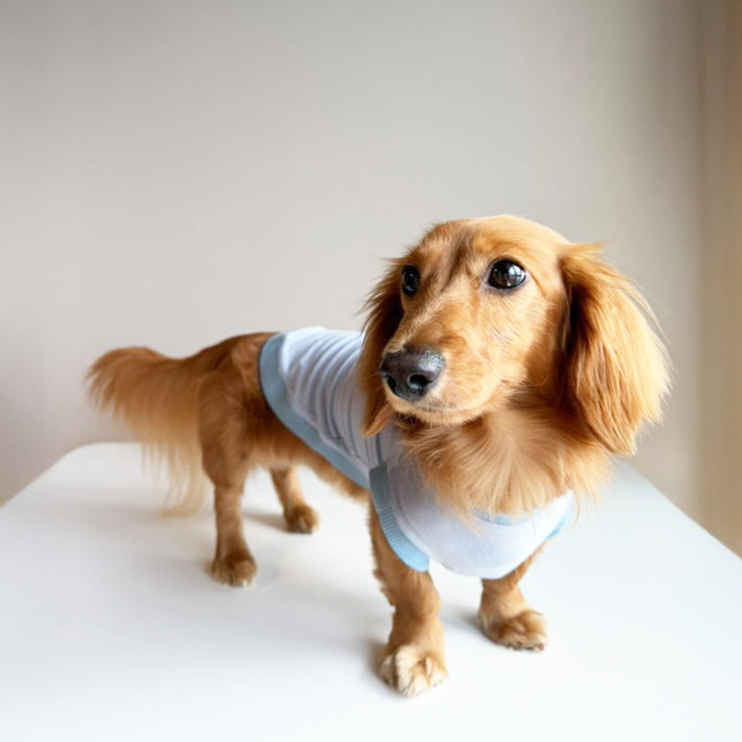 テンセル™繊維混【クールベア天竺_ダックス】超ストレッチノースリーブ　 ●接触冷感　日本製　※シーズン5月〜9月