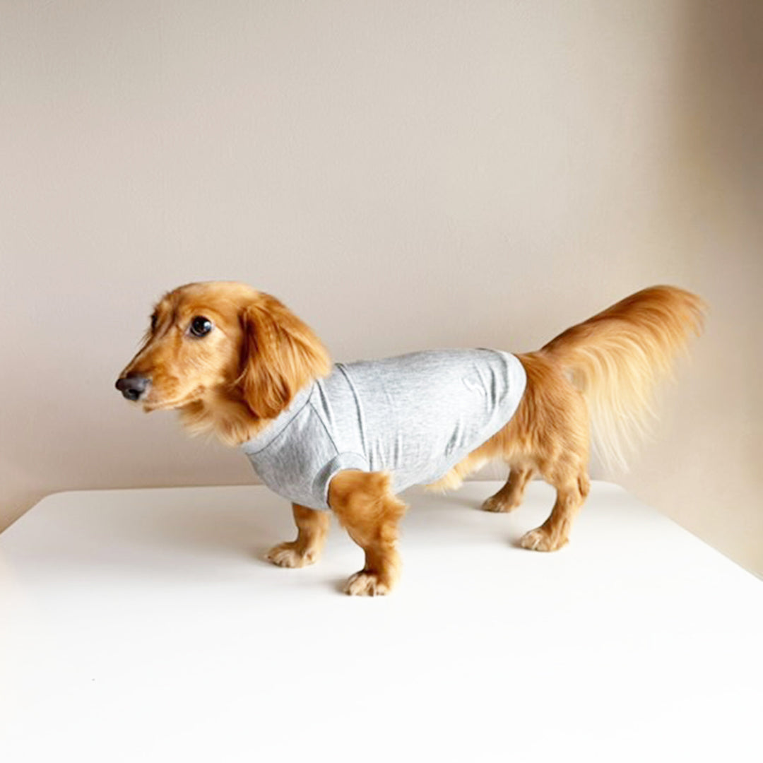 テンセル™繊維混【クールベア天竺_ダックス】超ストレッチノースリーブ　 ●接触冷感　日本製　※シーズン5月〜9月