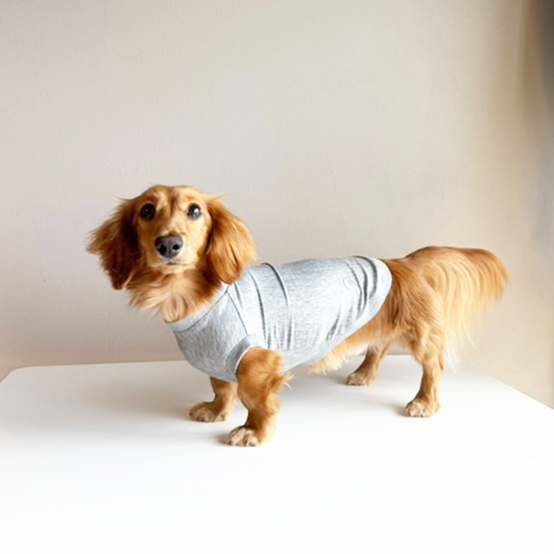 テンセル™繊維混【クールベア天竺_ダックス】超ストレッチノースリーブ　 ●接触冷感　日本製　※シーズン5月〜9月