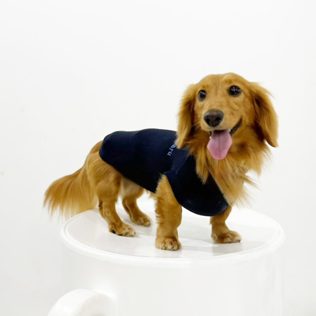 テンセル™繊維混【クールベア天竺_ダックス】超ストレッチノースリーブ　 ●接触冷感　日本製　※シーズン5月〜9月