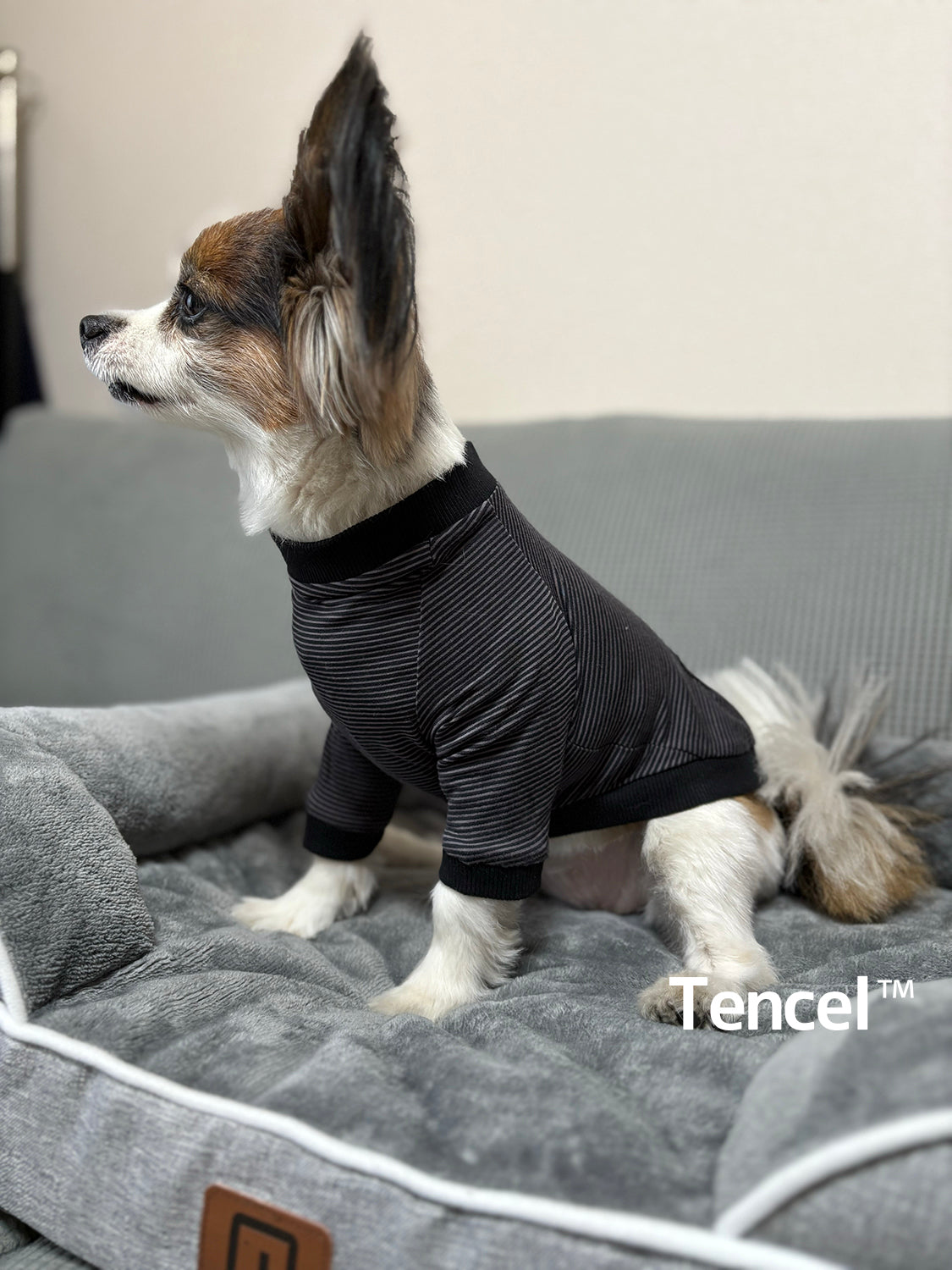 テンセル™繊維混【やさしさフィット】ウォッシャブルベア天竺_ラグランTシャツ　日本製　※シーズン通年