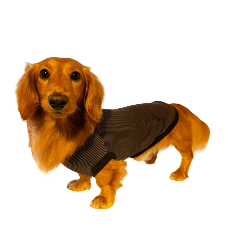 テンセル™繊維混【やさしさフィット_ダックス】ウォッシャブルベア天竺_ノースリーブ 　日本製　※シーズン通年