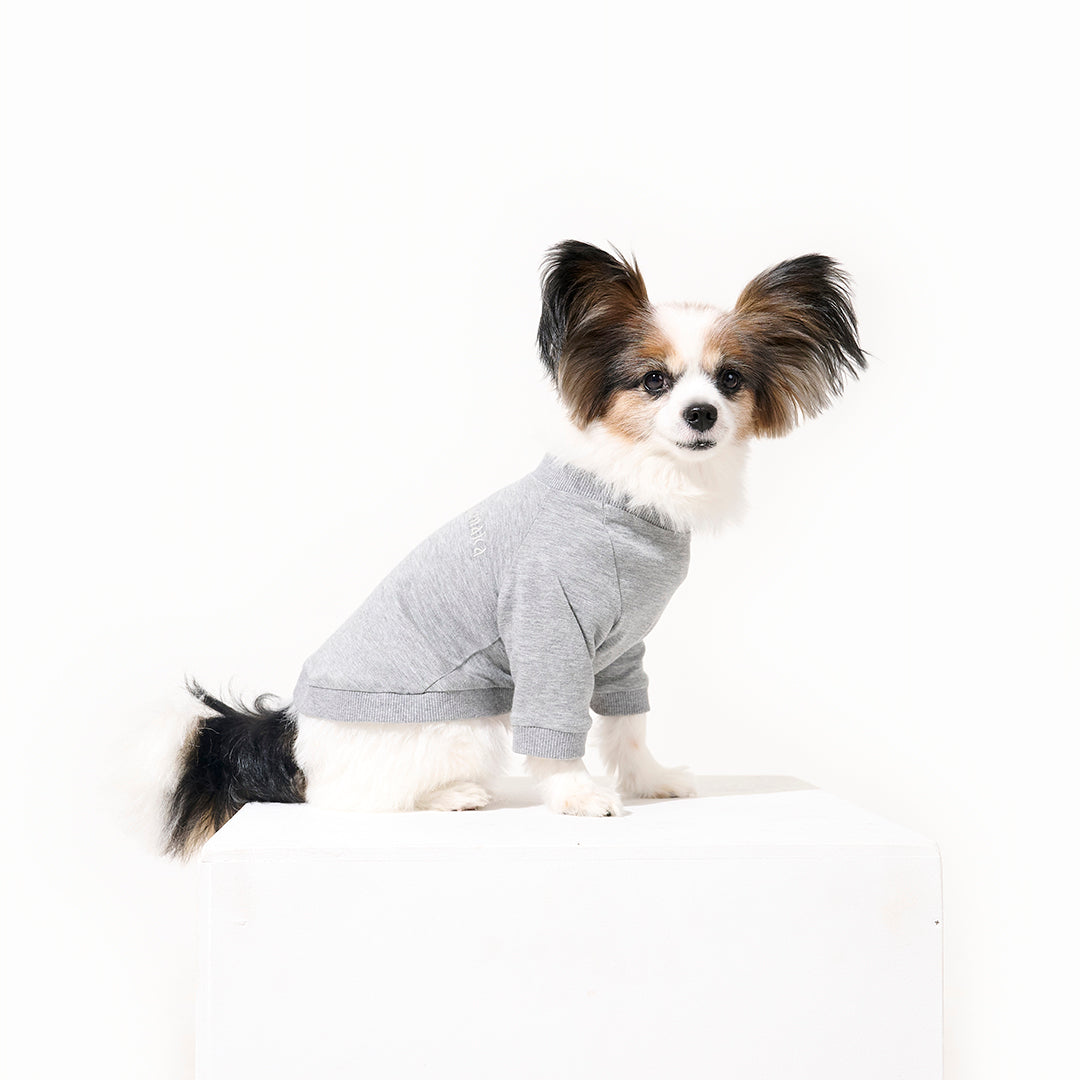 テンセル™繊維混【やさしさフィット】ウォッシャブルベア天竺_ラグランTシャツ　日本製　※シーズン通年