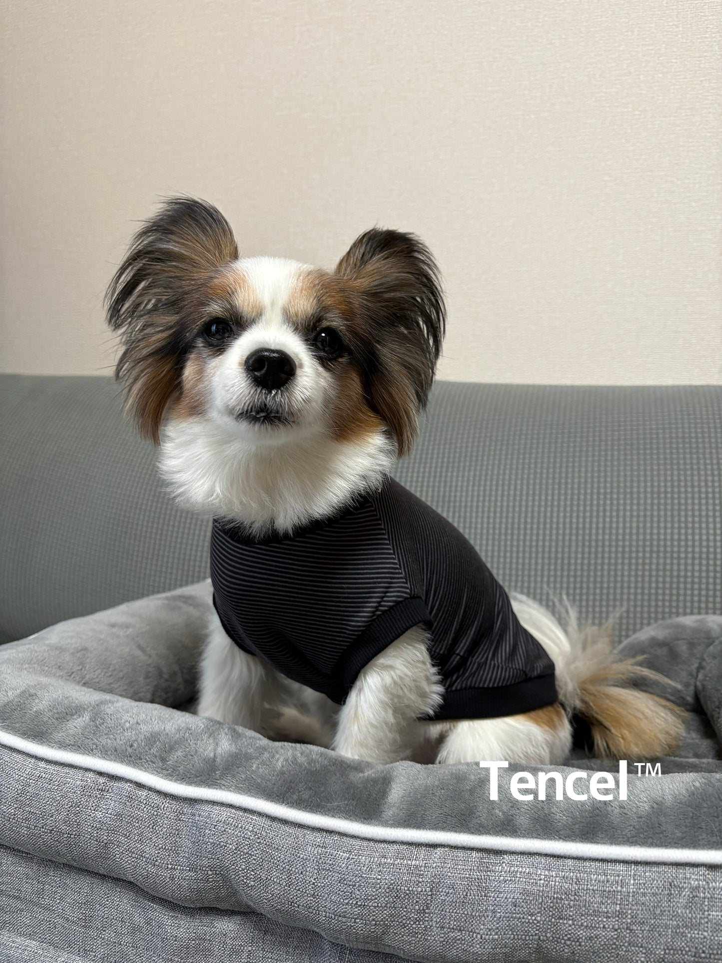 テンセル™繊維混【やさしさフィット】ウォッシャブルベア天竺_ノースリーブ 　日本製　※シーズン通年