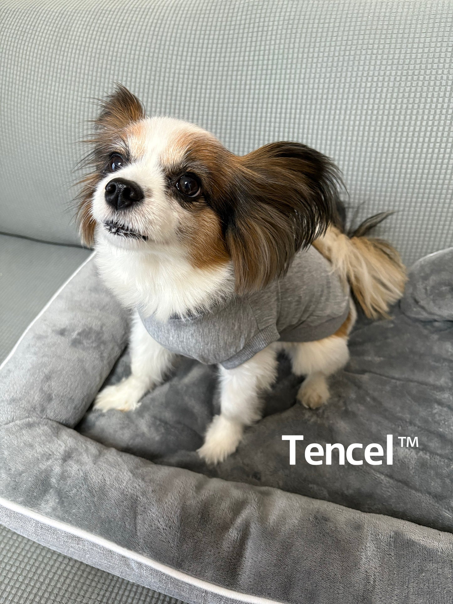 テンセル™繊維混【やさしさフィット】ウォッシャブルベア天竺_ノースリーブ 　日本製　※シーズン通年